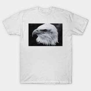 Bald Eagle (Monochrome) T-Shirt